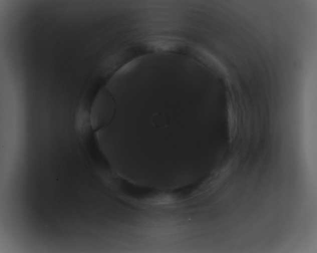 X0000100890551200807081043