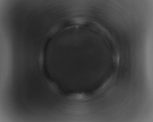 X0000100890552200807081043