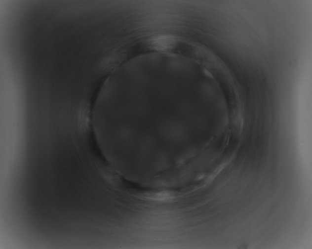 X0000100890553200807081043