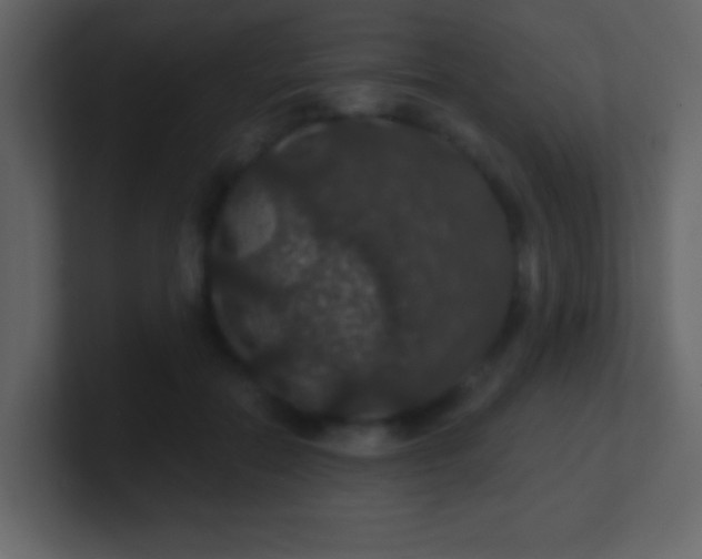 X0000100890554200807081043