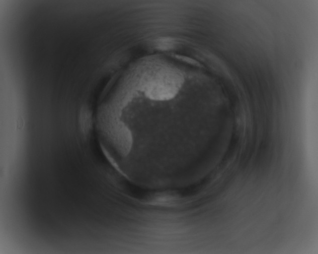 X0000100890555200807081043