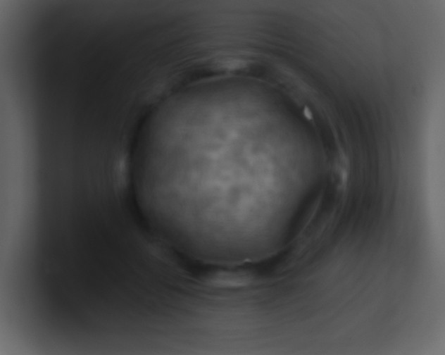 X0000100890556200807081043