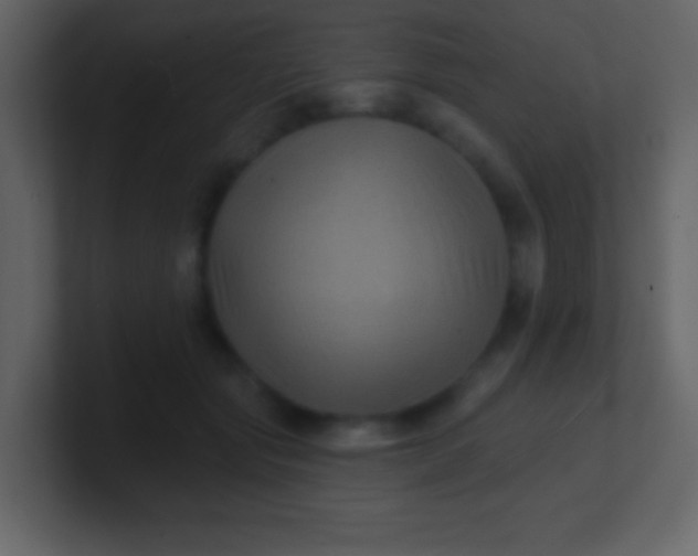 X0000100890557200807081043