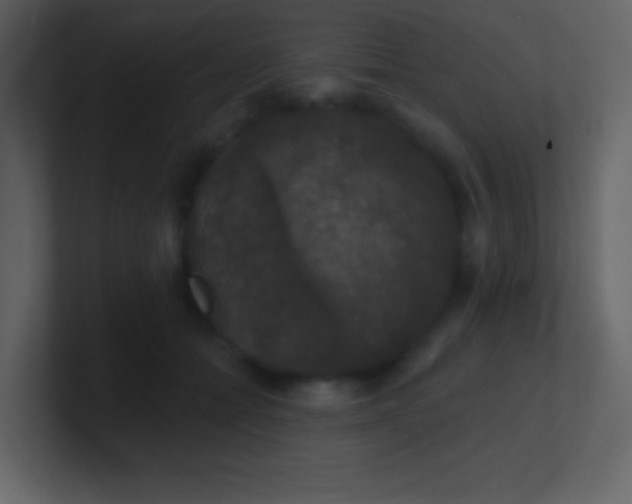 X0000100890558200807081043