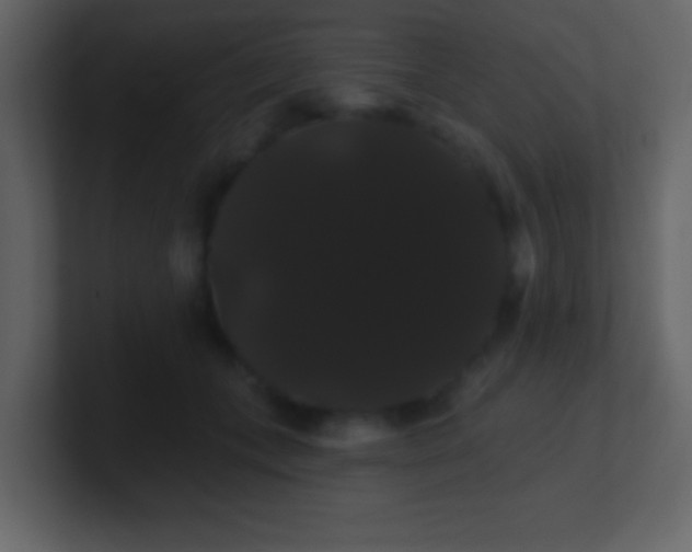 X0000100890559200807081043