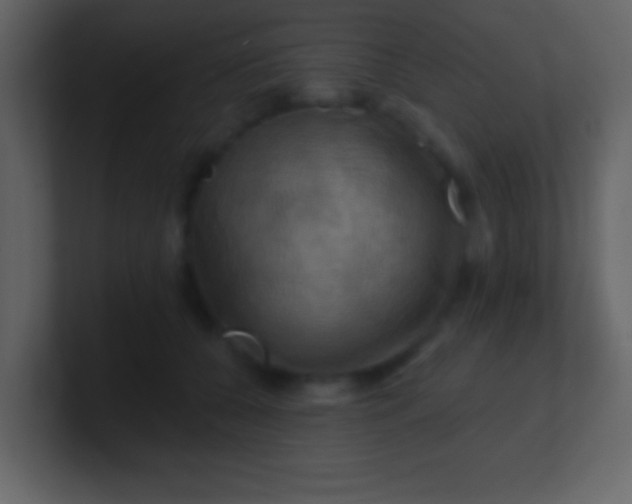 X0000100890560200807081043