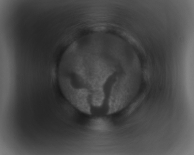 X0000100890561200807081043