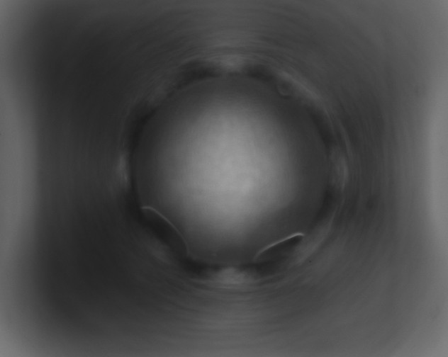 X0000100890562200807081043