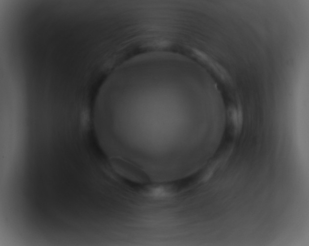 X0000100890564200807081043