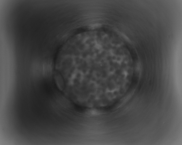 X0000100890565200807081043