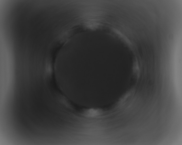 X0000100890566200807081043