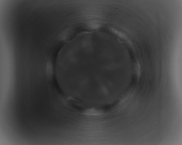 X0000100890568200807081043