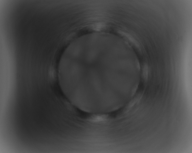 X0000100890569200807081043