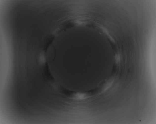 X0000100890570200807081043