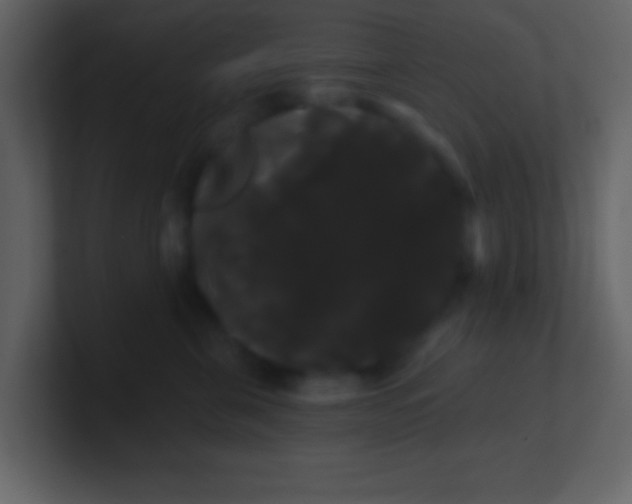 X0000100890571200807081043