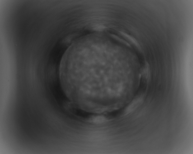 X0000100890572200807081043