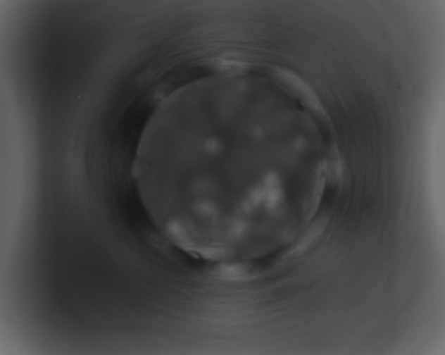 X0000100890573200807081043