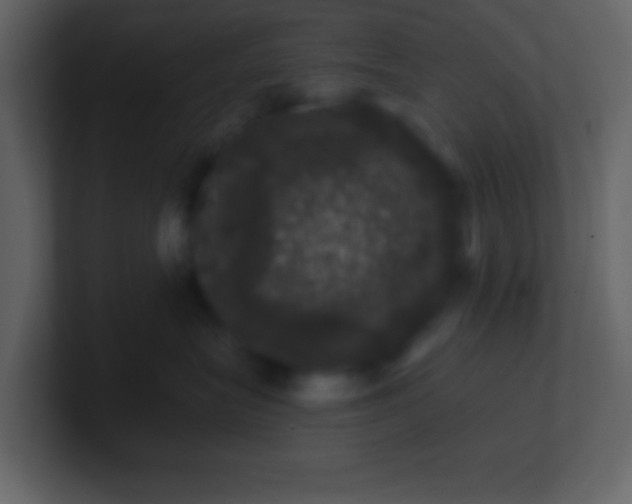 X0000100890575200807081043