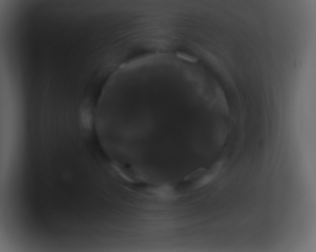 X0000100890576200807081043