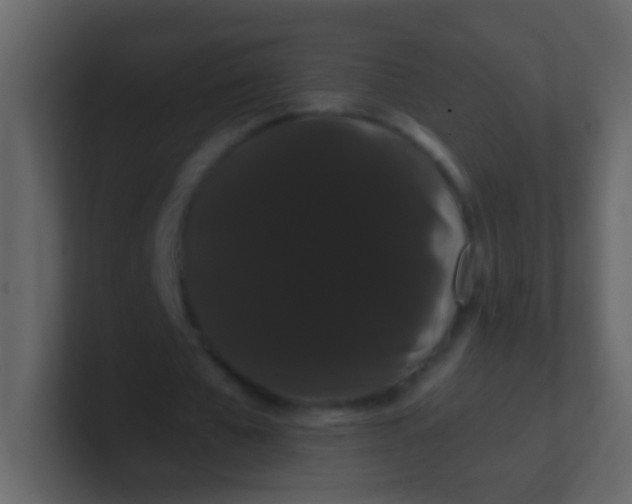 X0000100890577200807081043