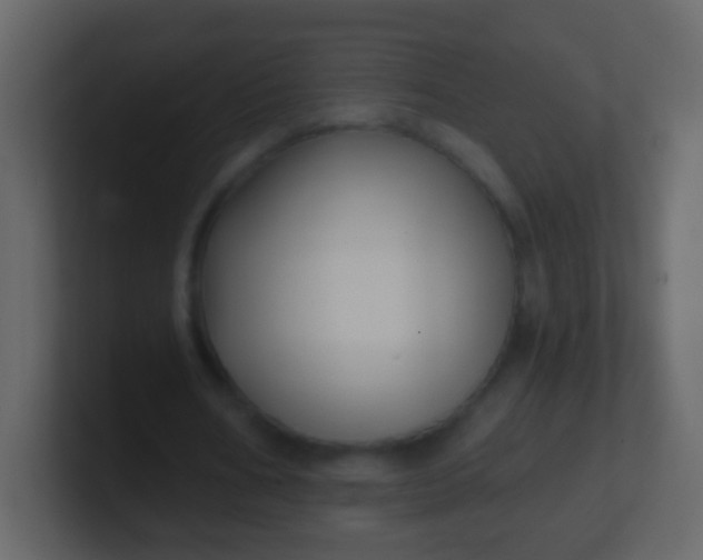 X0000100890578200807081043