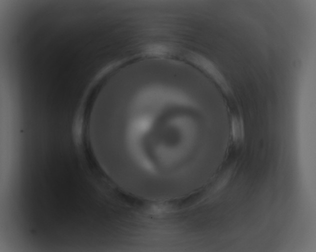 X0000100890579200807081043