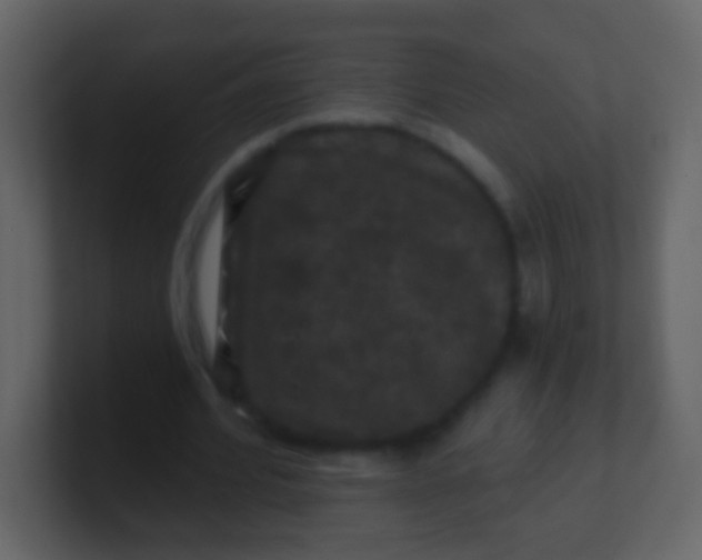 X0000100890580200807081043