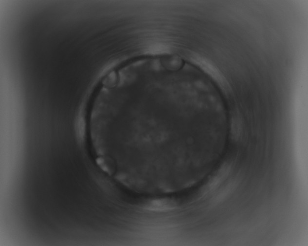 X0000100890584200807081043