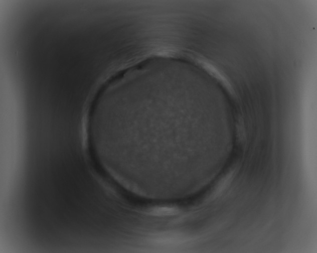 X0000100890586200807081043