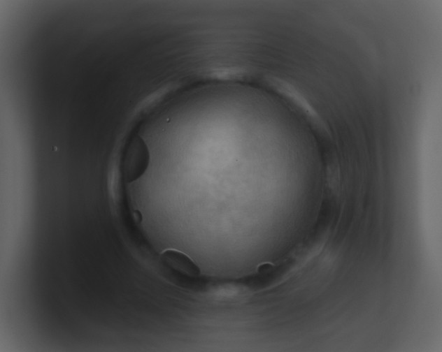 X0000100890587200807081043