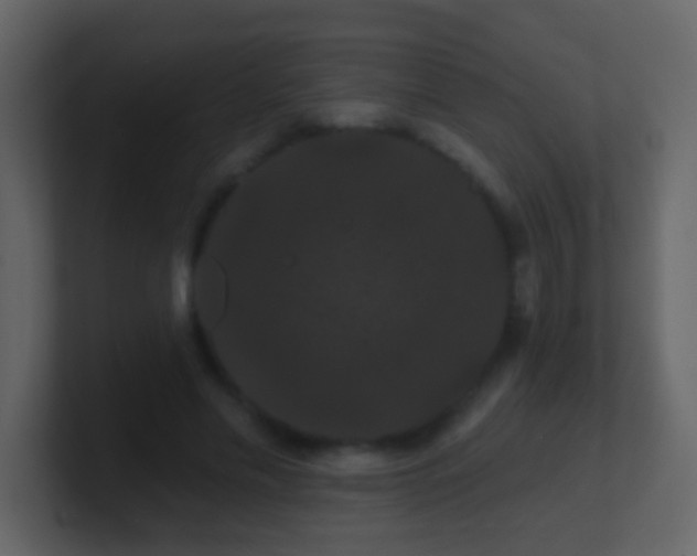 X0000100890589200807081043