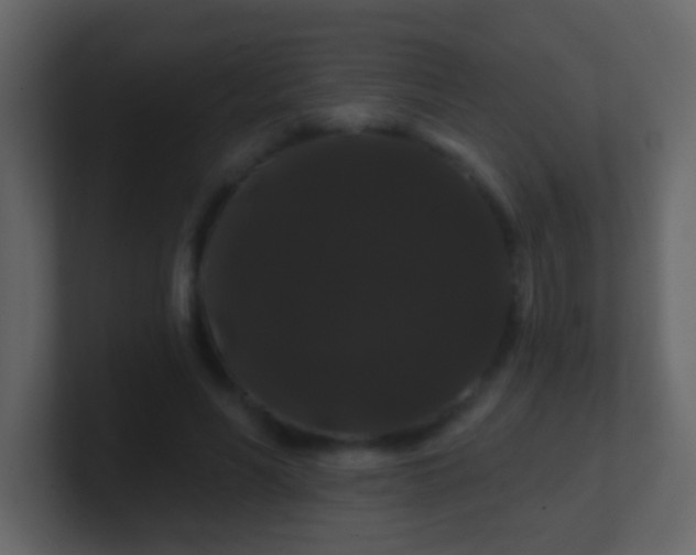 X0000100890590200807081043