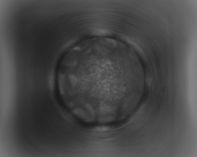 X0000100890591200807081043