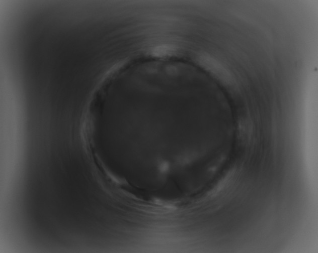 X0000100890592200807081043