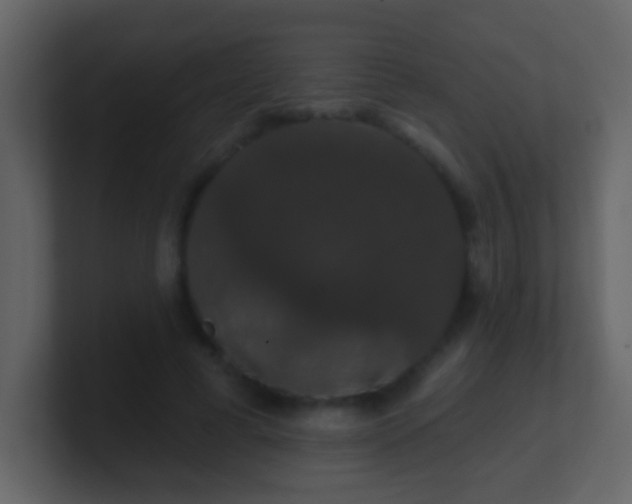 X0000100890593200807081043