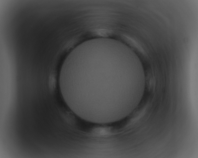 X0000100890595200807081043