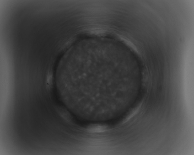 X0000100890597200807081043