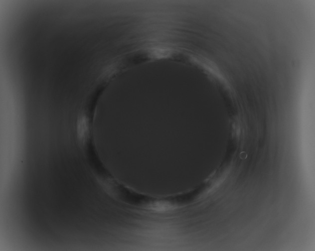 X0000100890598200807081042