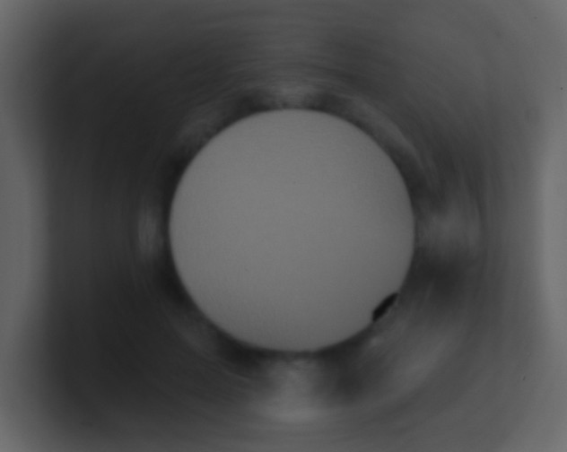 X0000100890599200807081042