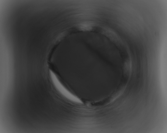 X0000100890600200807081042