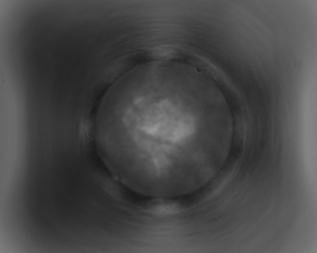 X0000100890601200807081042