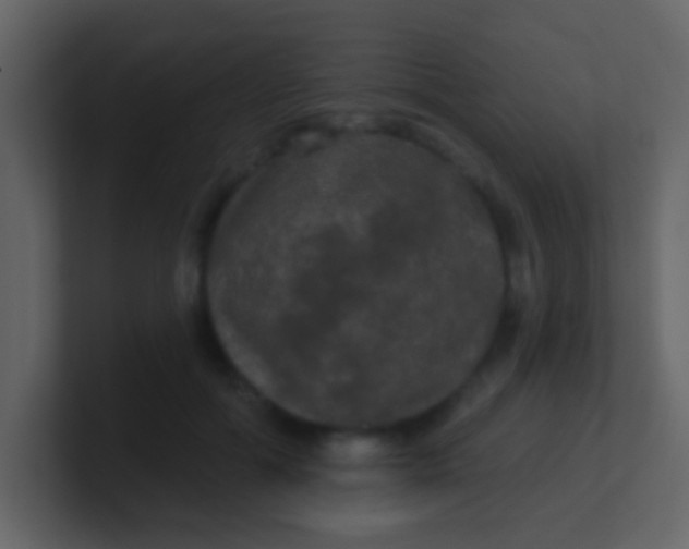 X0000100890602200807081042