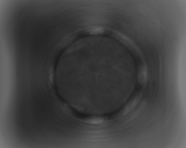 X0000100890604200807081042