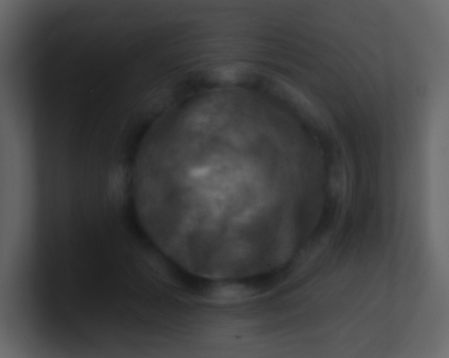 X0000100890605200807081042