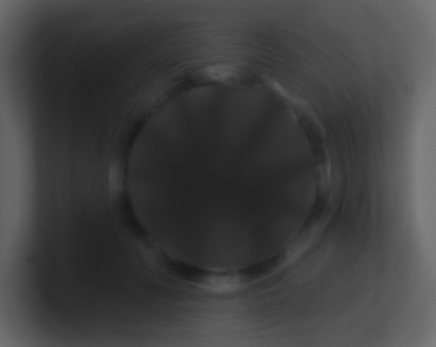 X0000100890606200807081042