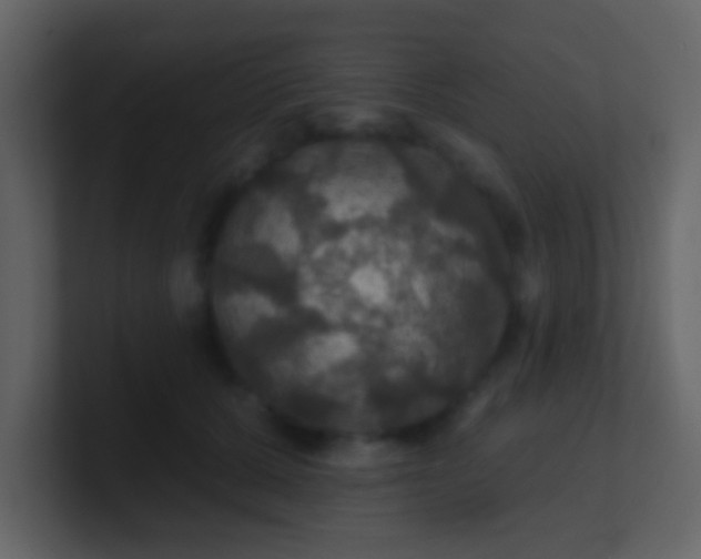 X0000100890607200807081042