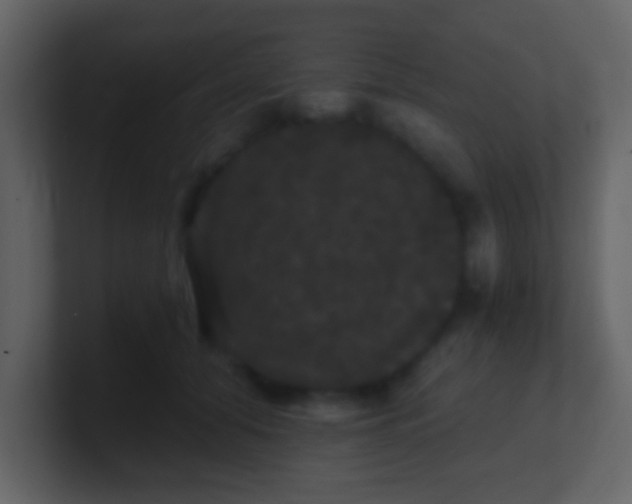 X0000100890608200807081042