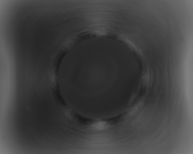 X0000100890609200807081042