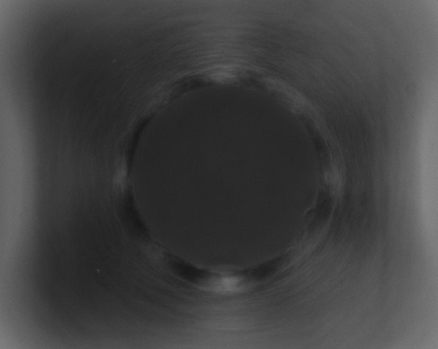 X0000100890610200807081042