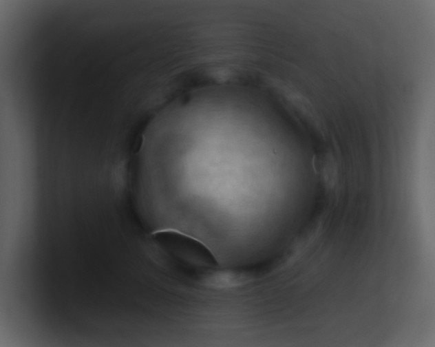 X0000100890611200807081042